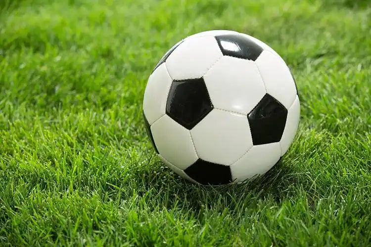 球探足球比分老版本球功能特性展示